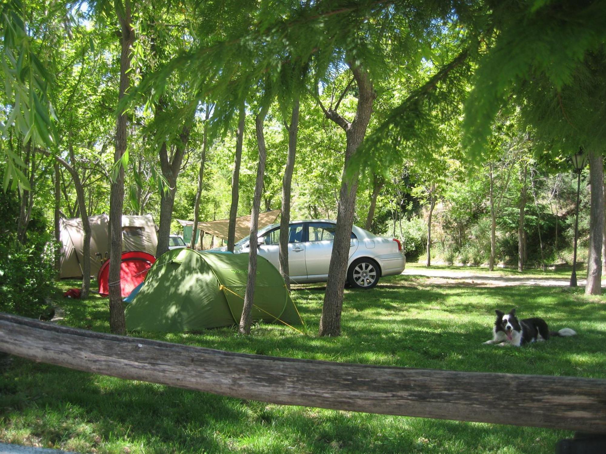 Camping Trevélez Eksteriør bilde